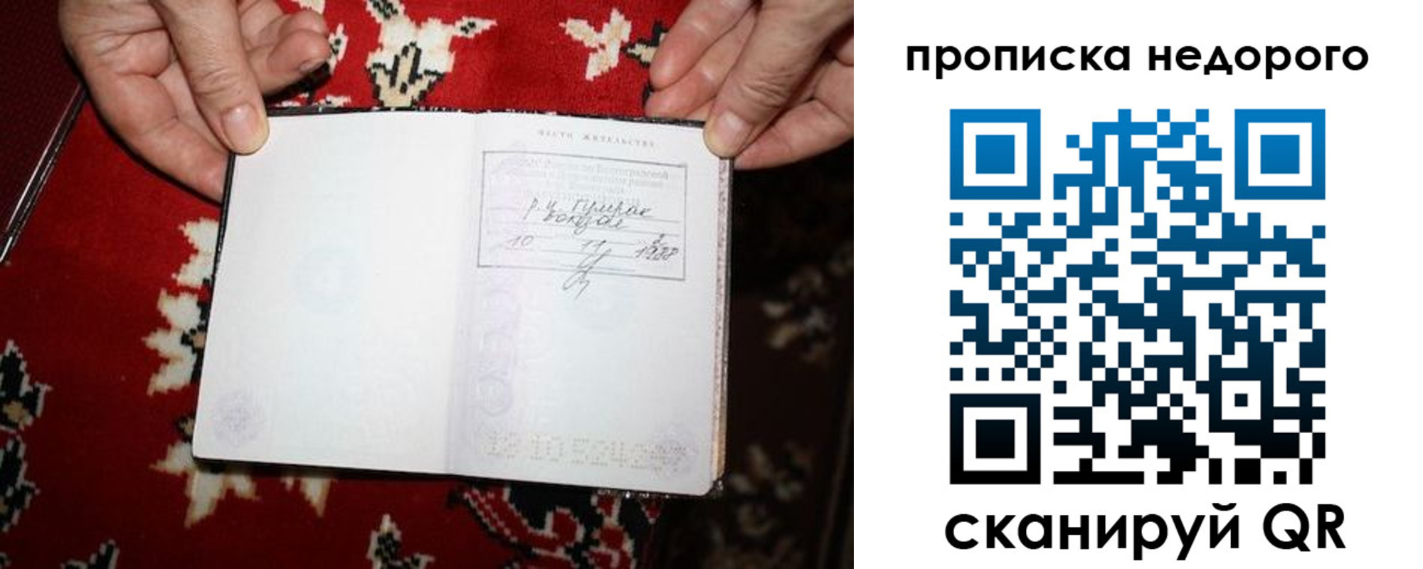 прописка гарантия в Шадринске